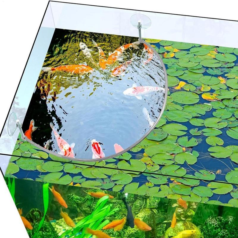 Floating Plant Corral Fish Fee – обзор и цена Aquarium Fish Food