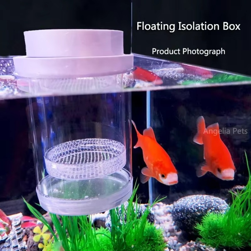 Plastic Floating Fish Breeding – обзор и цена Aquarium Fish Jar