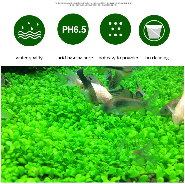 Aquarium Plant Seeds Soil Fish – обзор и цена Aquarium Fish Care