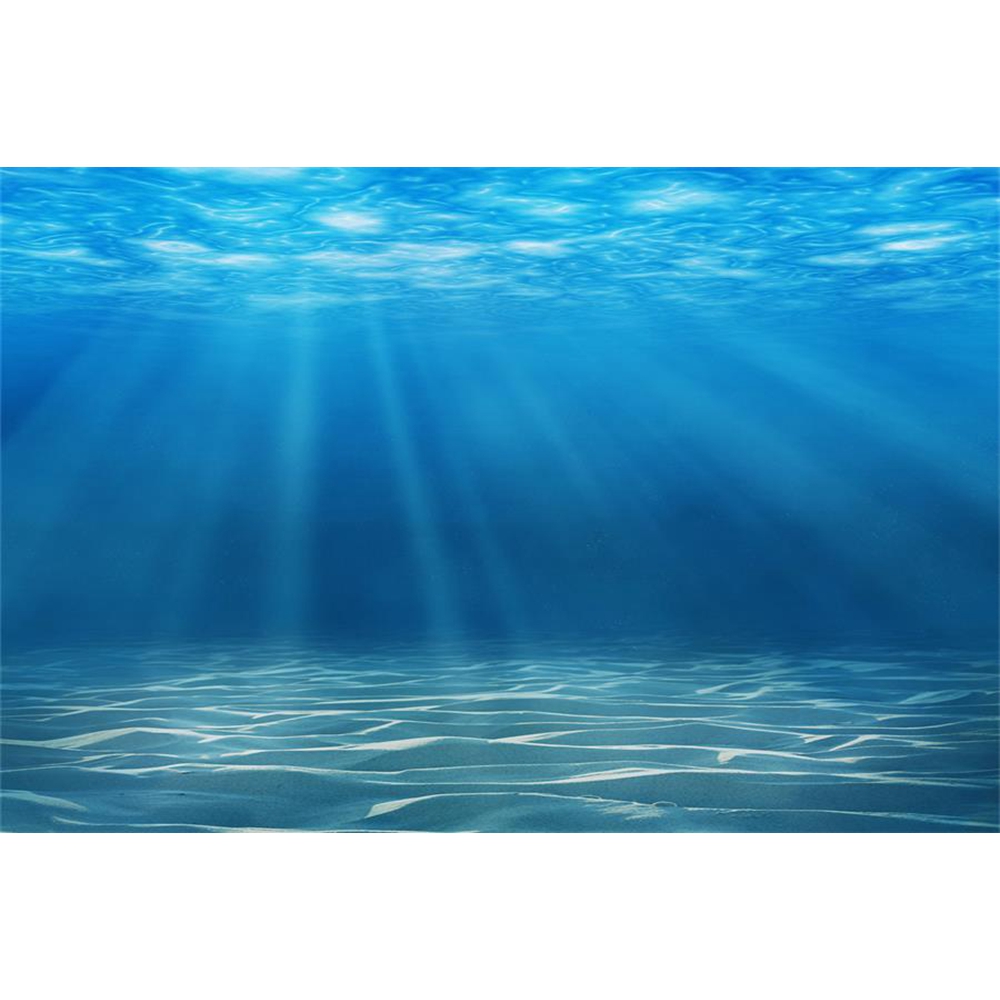 Underwater World Seabed Photog – обзор и цена Aquarium Fish World