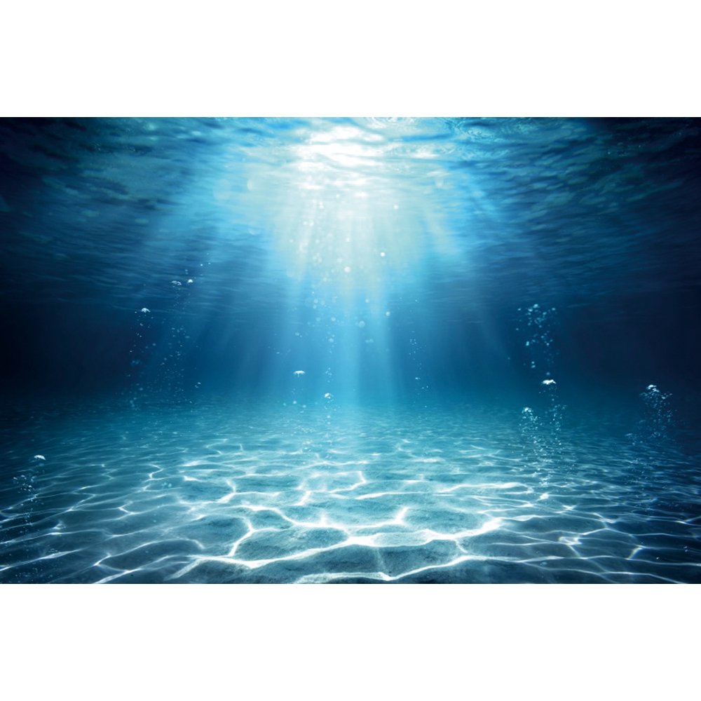 Underwater World Seabed Photog – обзор и цена Aquarium Fish World