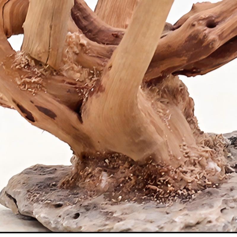 1PC Aquarium Landscaping Wood  – обзор и цена Aquarium Fish For Sale Online