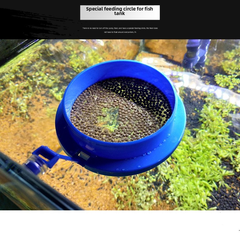 YEE Aquarium Feeding Ring-Floa – обзор и цена All Fish In Aquarium