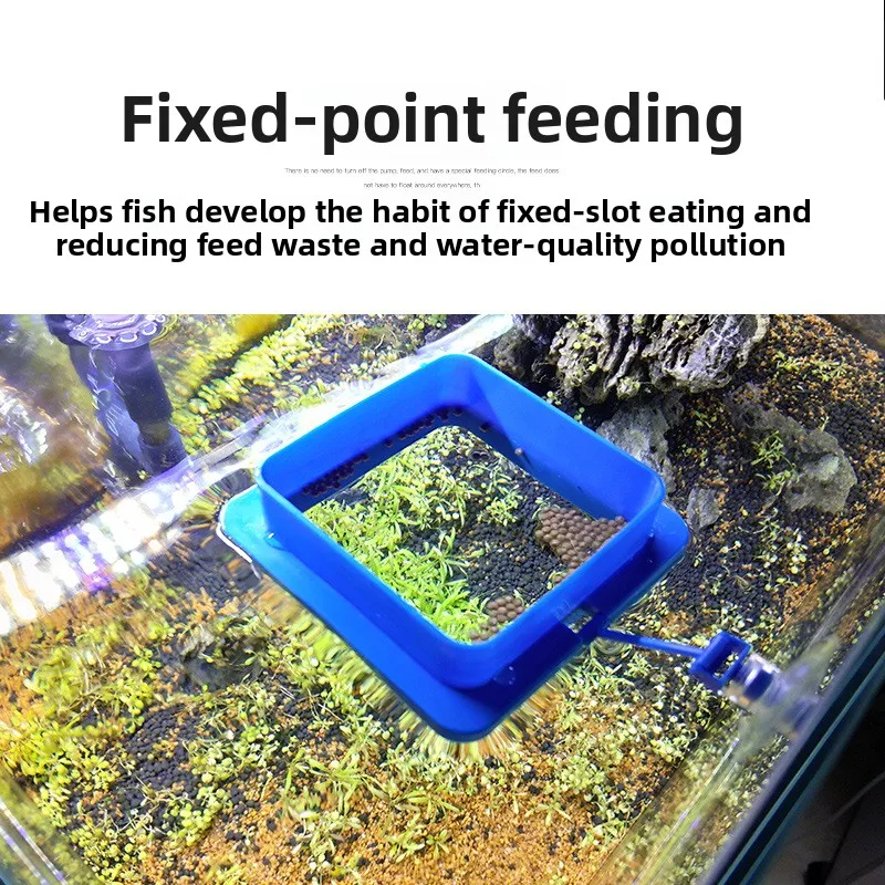 YEE Aquarium Feeding Ring-Floa – обзор и цена All Fish In Aquarium