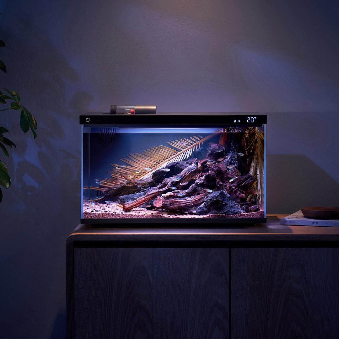 Xiaomi Mijia Smart Fish Tank M – обзор и цена Aquarium Fish Food