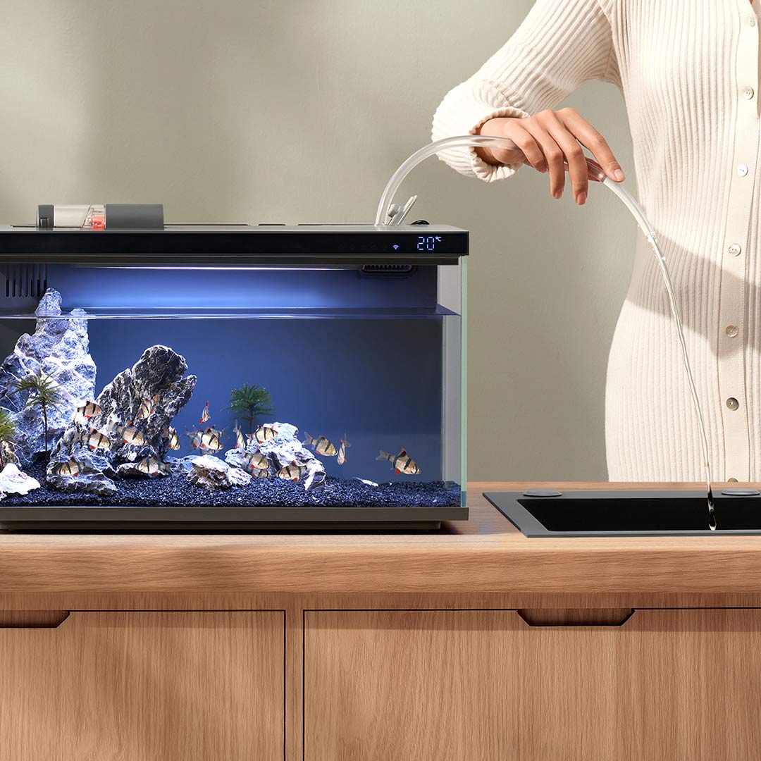 Xiaomi Mijia Smart Fish Tank M – обзор и цена Aquarium Fish Food