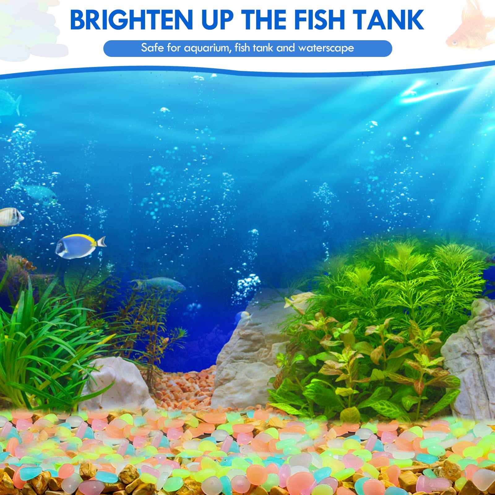 100Pcs Glow in the Dark Garden – обзор и цена Aquarium Fish Gallery