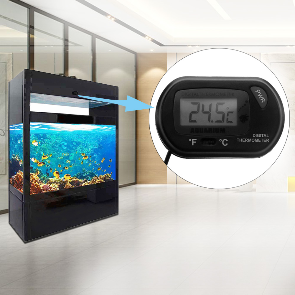 Aquarium Thermometer Suction C – обзор и цена Aquarium Fish Yellow