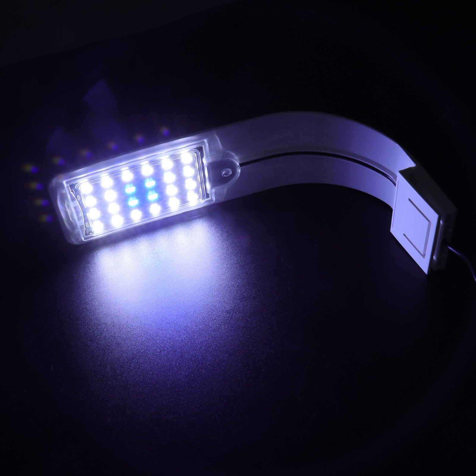 LED Aquarium Light for Fish Ta – обзор и цена Aquarium Fish With Long Lifespan