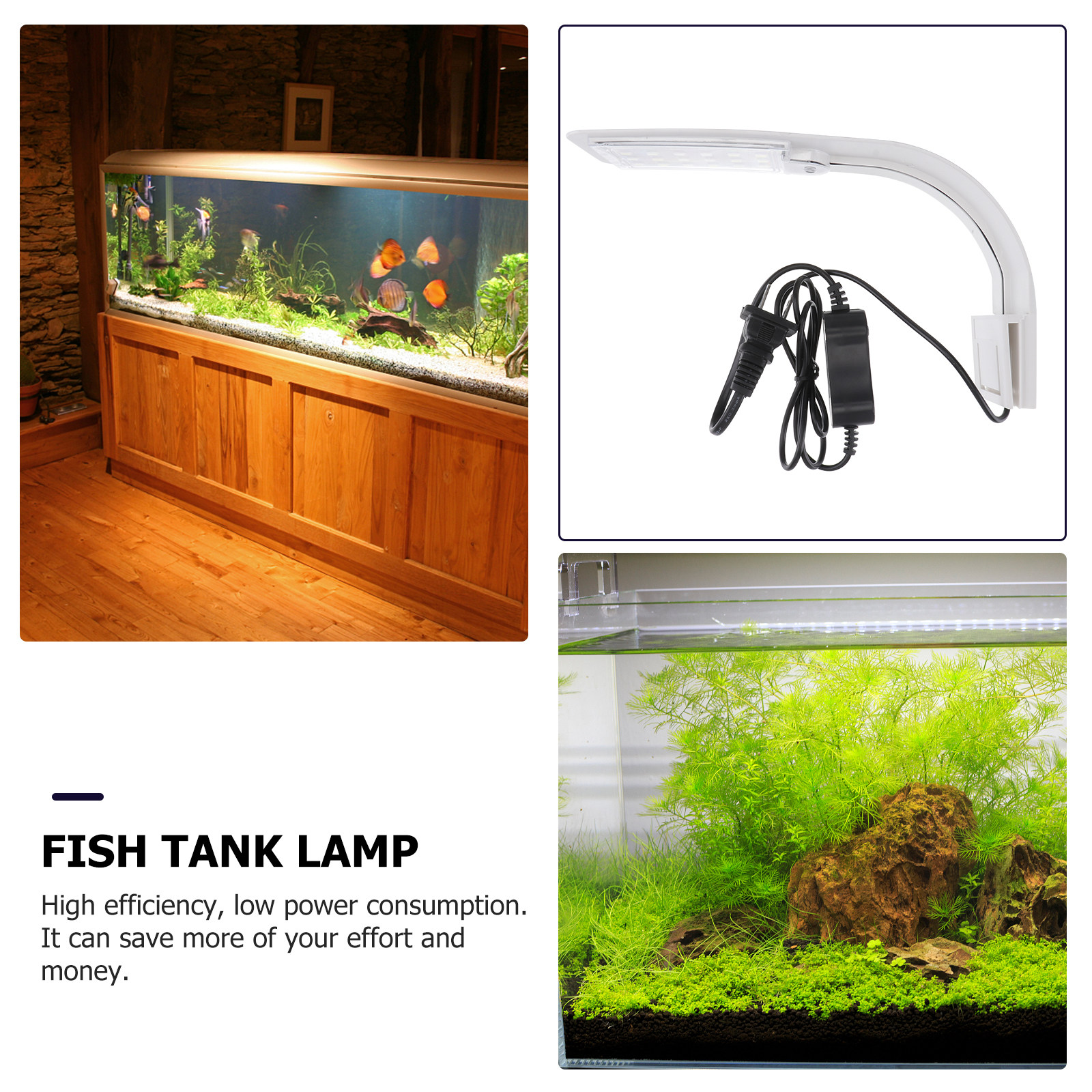 LED Aquarium Light for Fish Ta – обзор и цена Aquarium Fish With Long Lifespan