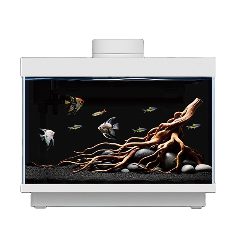 Multifunctional all-in-one 5W  – обзор и цена All Fish In Aquarium
