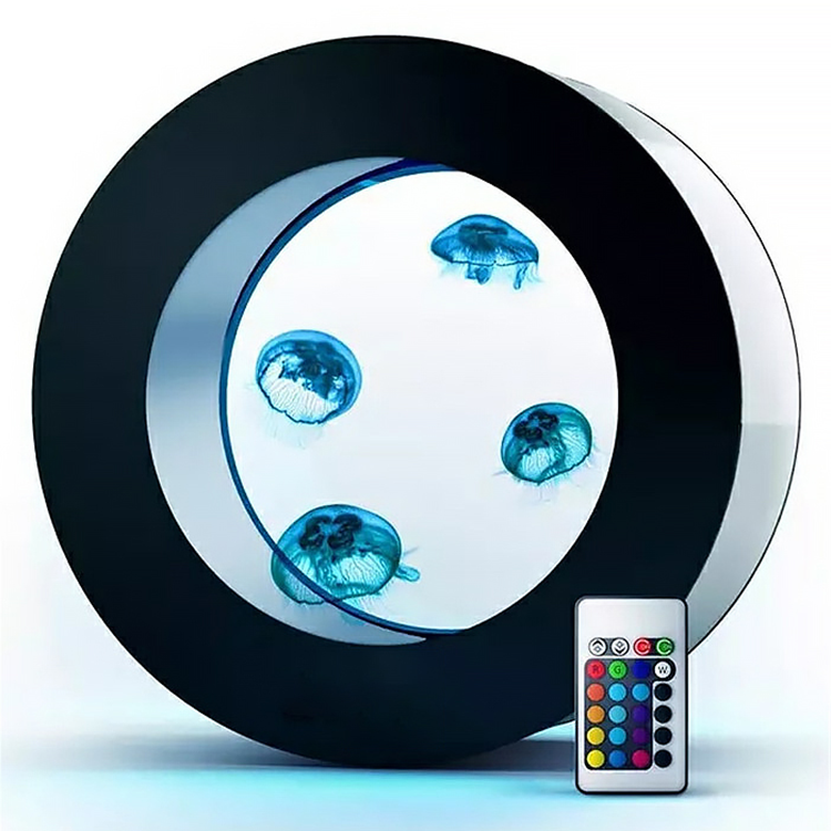 O-shaped Jellyfish Aquarium fo – обзор и цена All Fish In Aquarium