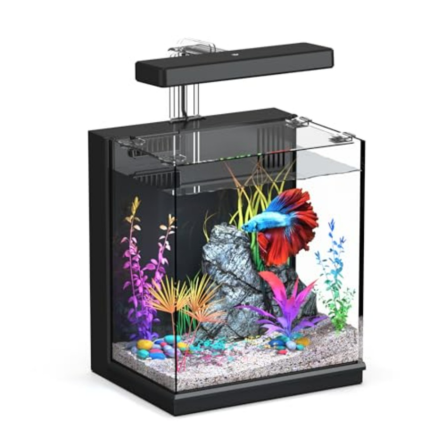 Betta Fish Tank, 2 Gallon All- – обзор и цена All Fish In Aquarium