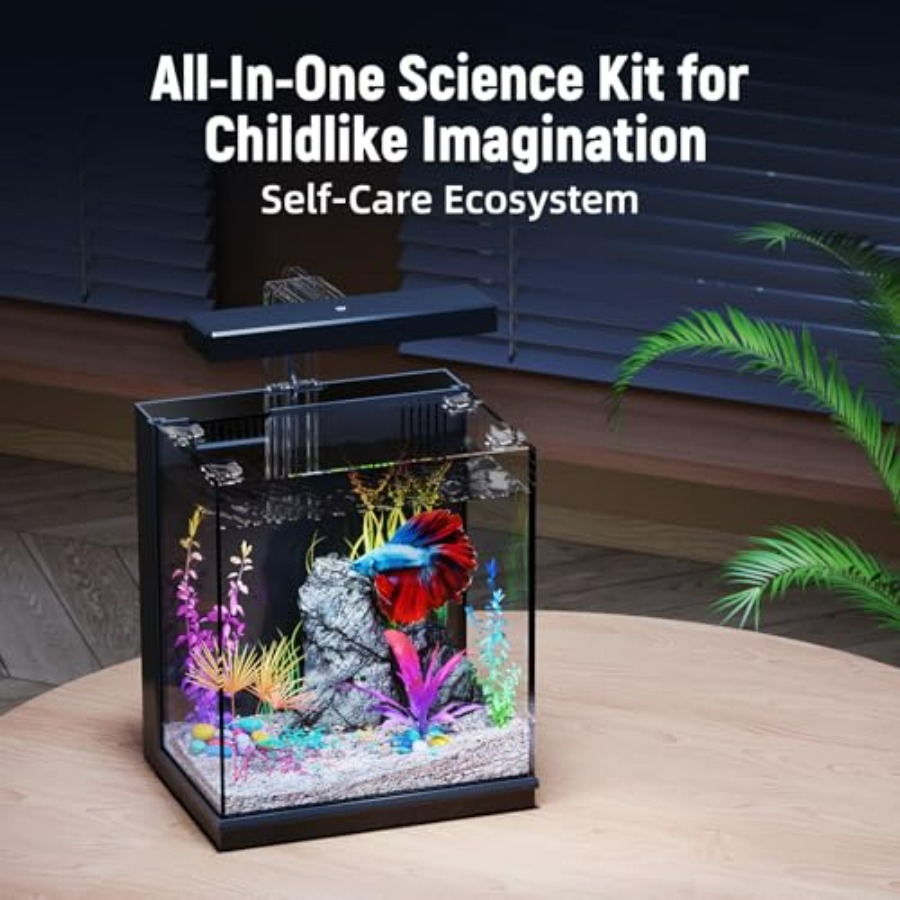 Betta Fish Tank, 2 Gallon All- – обзор и цена All Fish In Aquarium