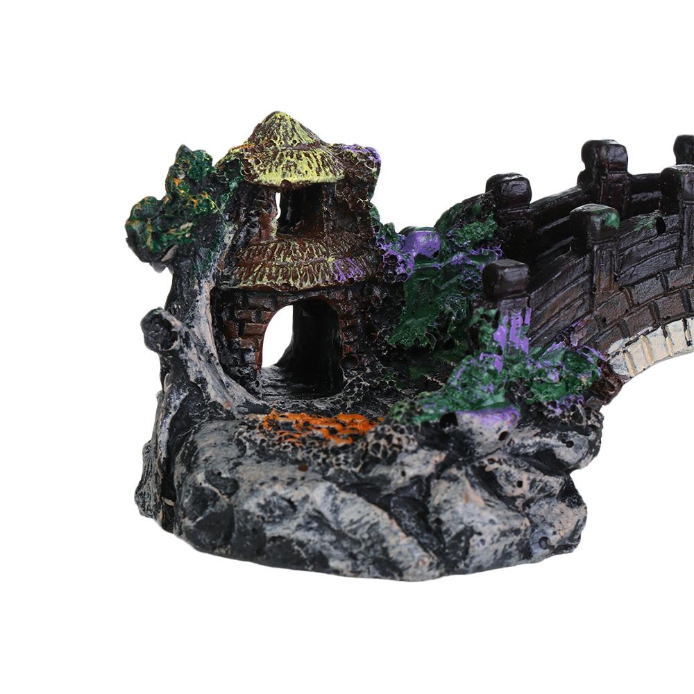 Aquarium Accessories Arbor Tre – обзор и цена Aquarium Fish For Sale Online