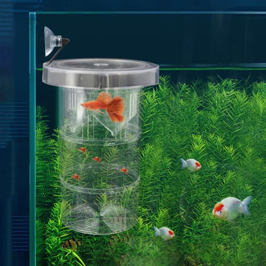 Acrylic Floating Fish Breeding – обзор и цена Aquarium Fish Jar