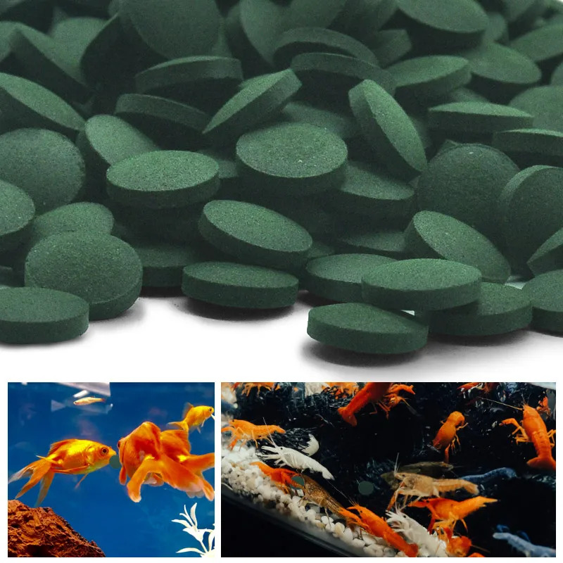 100-1500Pcs High-Purity Spirul – обзор и цена Aquarium Fish Food