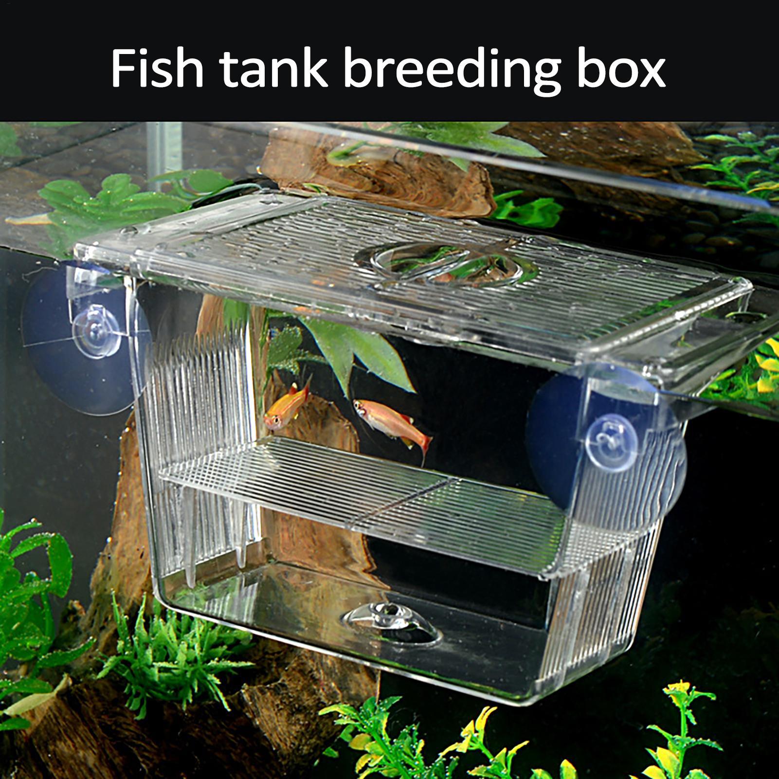 Breeder Box for Fish Tank Tran – обзор и цена Aquarium Fish Jar
