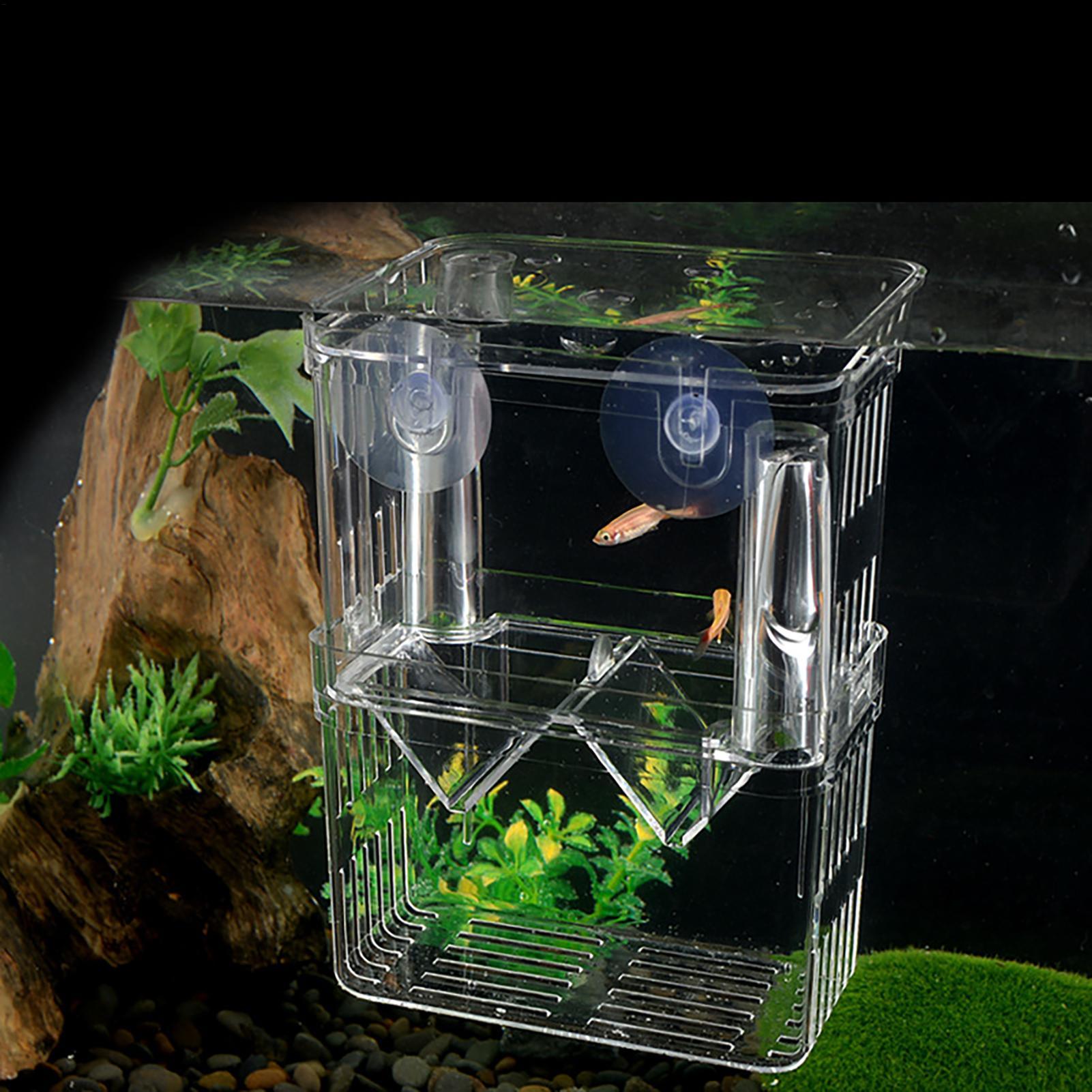 Breeder Box for Fish Tank Tran – обзор и цена Aquarium Fish Jar
