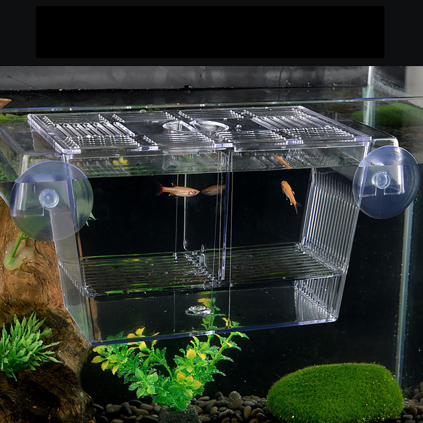 Breeder Box for Fish Tank Tran – обзор и цена Aquarium Fish Jar