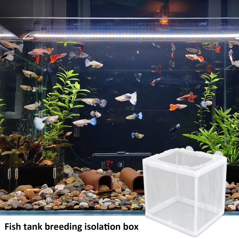 Fish Breeder Box with Suction, – обзор и цена Aquarium Fish Jar