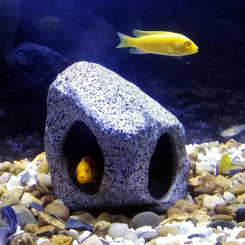 Fish Tank Cave Stone Landscapi – обзор и цена Aquarium Fish For Sale Online