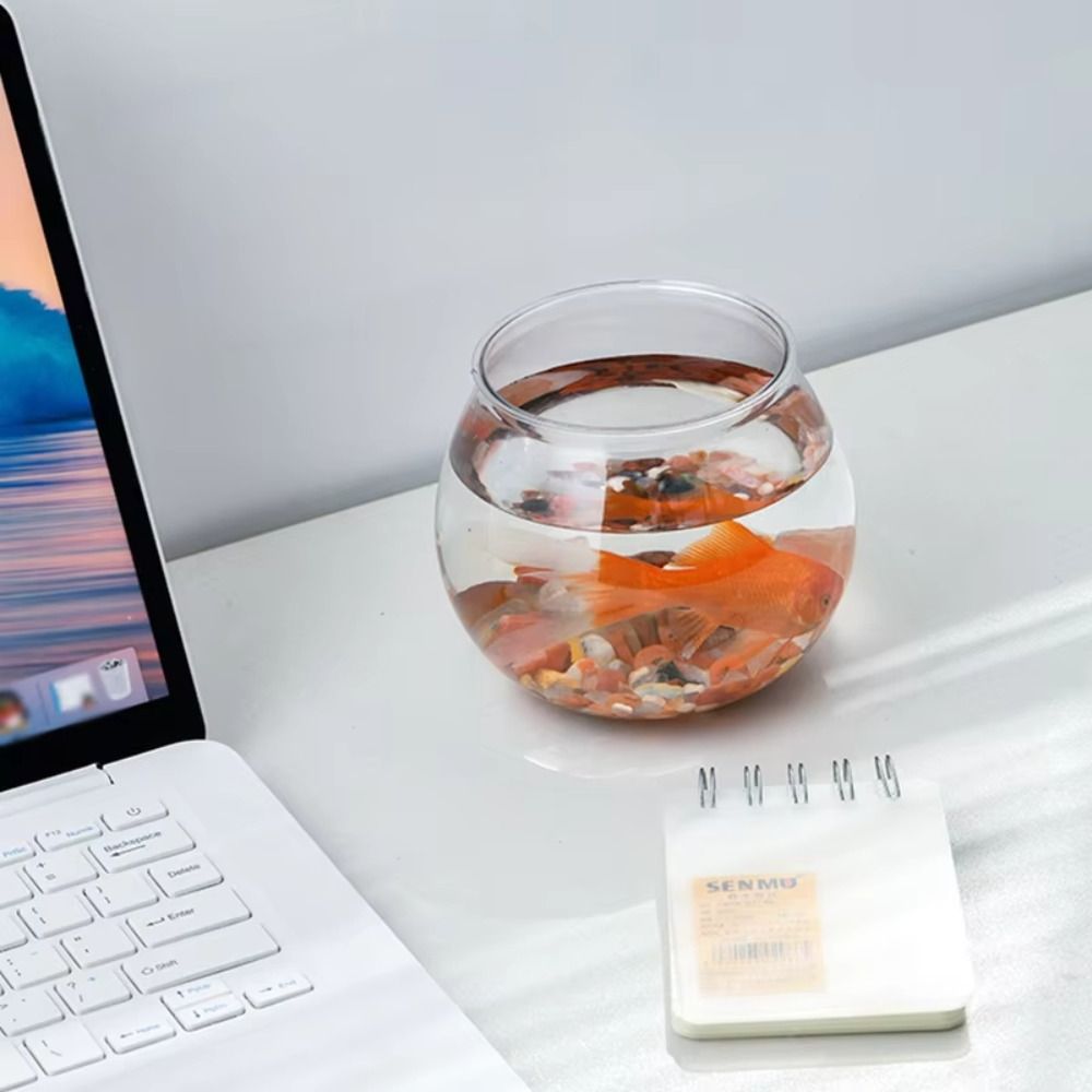 New Transparent Fish Tank Roun – обзор и цена Aquarium Fish Jar