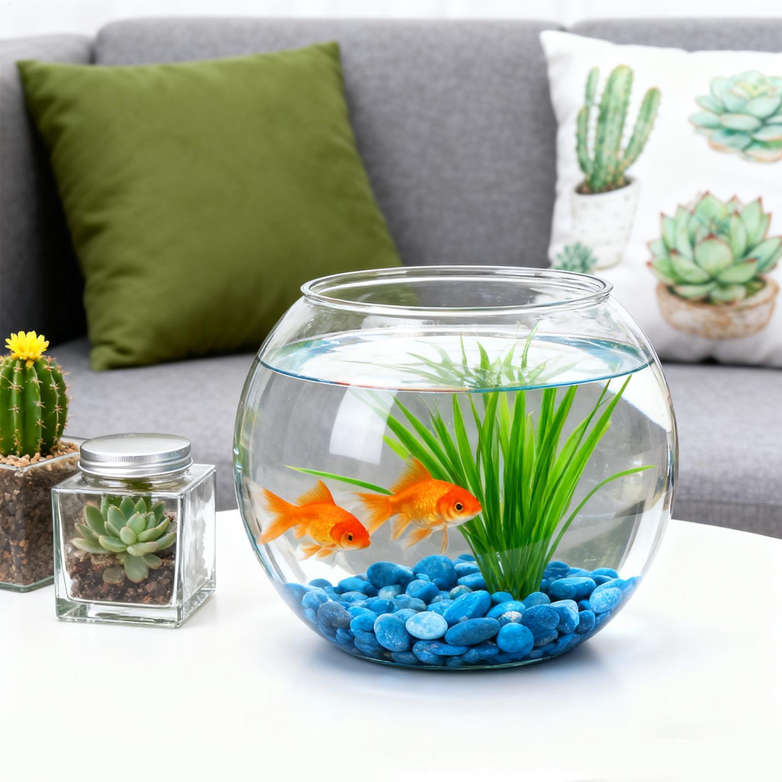 Bubble Bowl Space-Saving Aquar – обзор и цена Aquarium Fish Jar