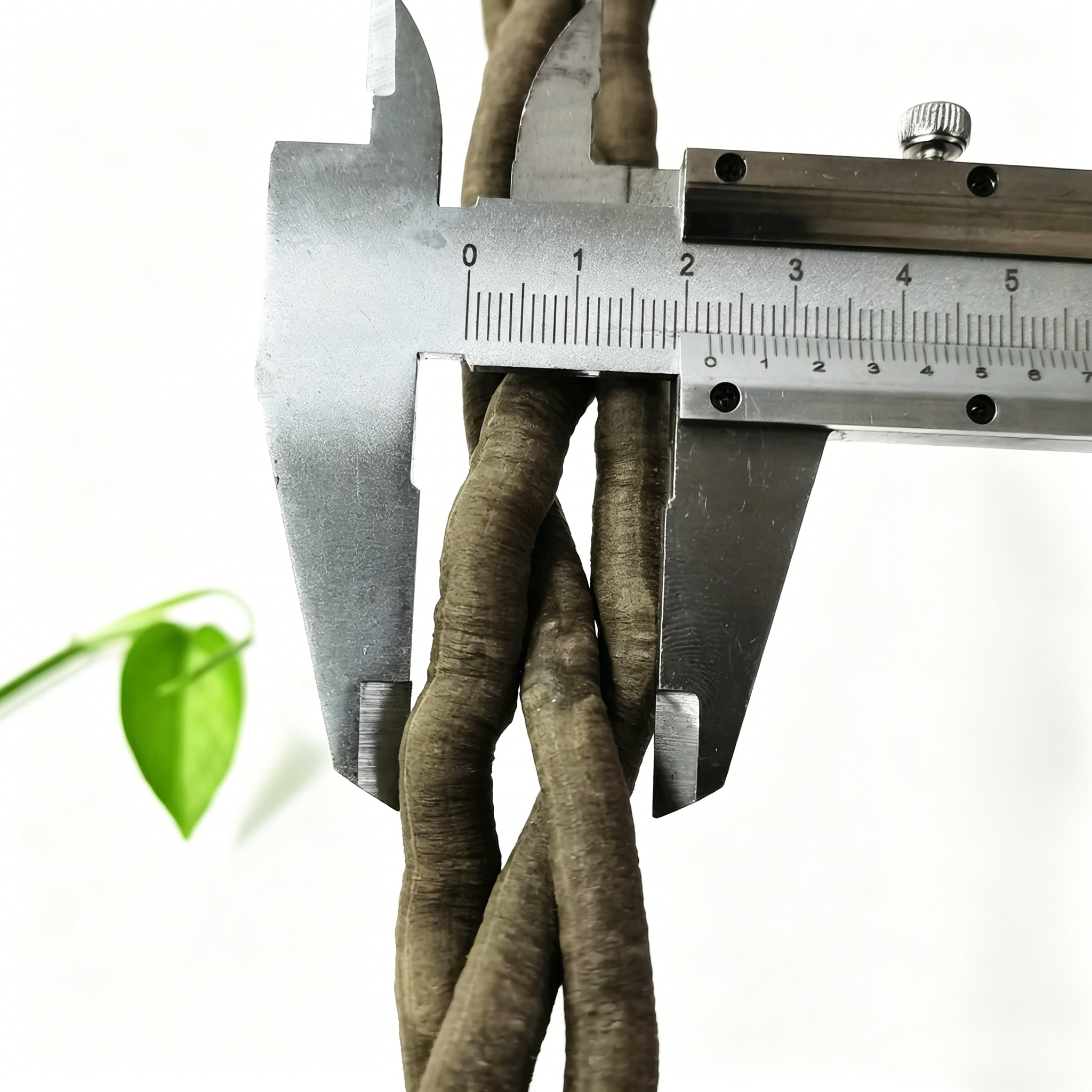100cm Artificial Vine Plant Cl – обзор и цена Aquarium Fish Gallery