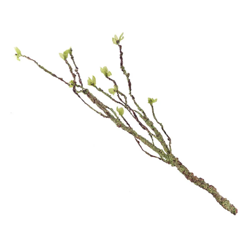 Vines Decor Climbing Branches  – обзор и цена Aquarium Fish For Sale Online